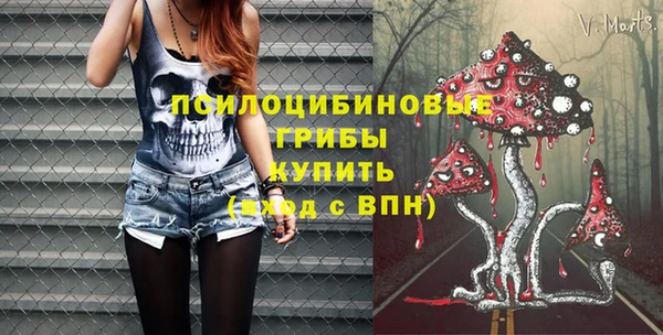 бутират Бородино