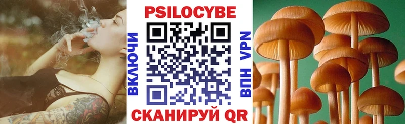 Галлюциногенные грибы MAGIC MUSHROOMS  Купить закладки  Нижняя Тура 
